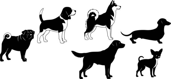 Векторная иллюстрация различных пород собак в силуэте