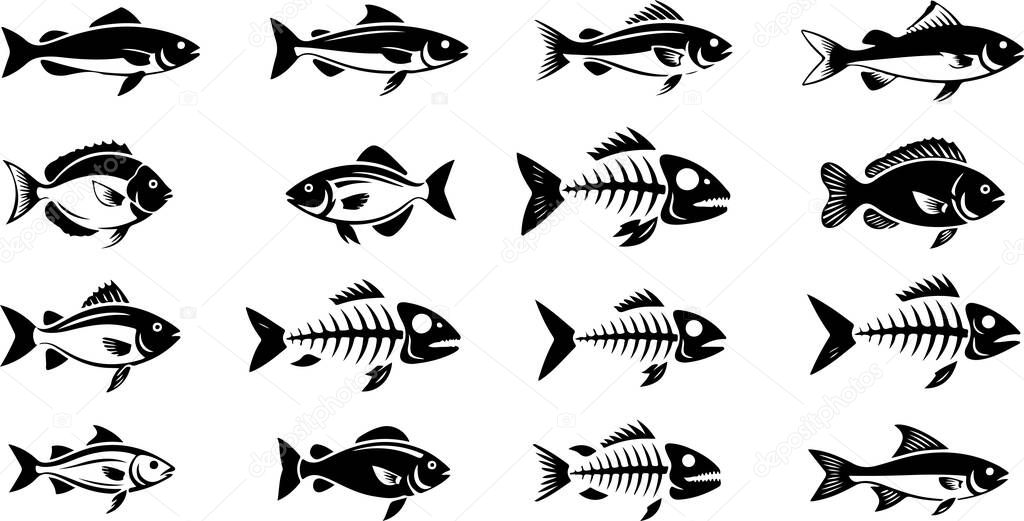 Fish and fish skeleton illustrations on white background