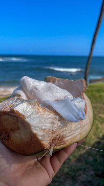 Bir el taze kesilmiş hindistan cevizini tutar, beyaz, sulu etini gözler önüne serer, mavi deniz ve arka planda dalgalar. Güneşli bir gün sahneyi aydınlatıyor, deniz kıyısında bir ferahlık ve rahatlama hissi uyandırıyor..