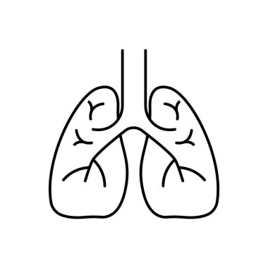 Ciğerleri düz çizgi ikonu. İnsan iç organının ince portogramı, akciğer kliniği için özet çizimi.