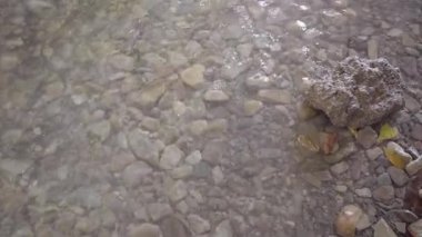  Water Edge 'de sakin bir manzara. Yüksek kalite 4k görüntü