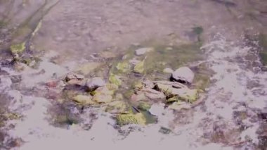 Akan Nehir kıyısında bir taş. Yüksek kalite 4k görüntü