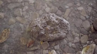  Water Edge 'de sakin bir manzara. Yüksek kalite 4k görüntü