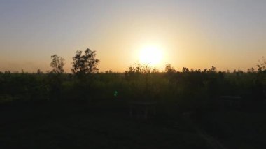 Güzel bir sabah manzarası. Yüksek kalite 4k görüntü