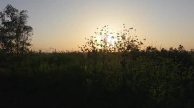 Gökyüzünü altın ve pembeden renklerle boyarken güneşin huzur veren güzelliğini hissedin. Yüksek kalite 4k görüntü