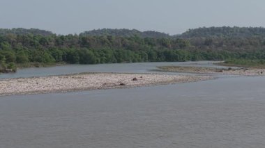 Hindistan Riverside 'dan barışçıl manzaralar. Yüksek kalite 4k görüntü