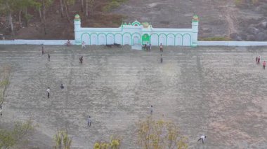 Köy Çekirgesi 'nin Ruhu. Yüksek kalite 4k görüntü