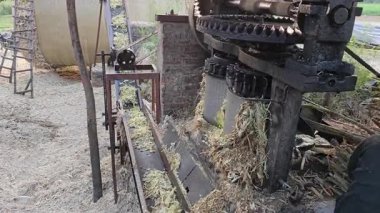 Endüstrideki Şeker Kamışı İsrafı Rolü. Yüksek kalite 8K görüntü