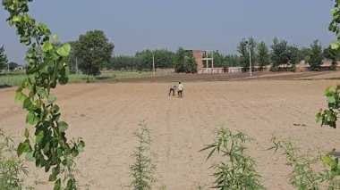 Çiftçi tarımda çok çalışıyor. Yüksek kalite 8K görüntü