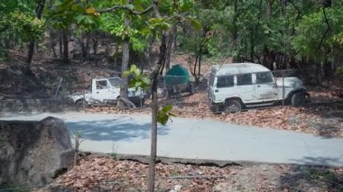 Ağaçların Arasındaki Araba. Yüksek kalite 4k görüntü