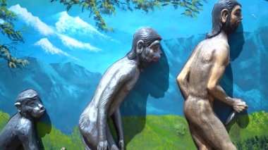 Bilim İçindeki İnsan Seyahati. Yüksek kalite 4k görüntü