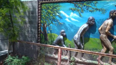 İnsan biliminin ayak izlerini takip ediyorum. Yüksek kalite 4k görüntü