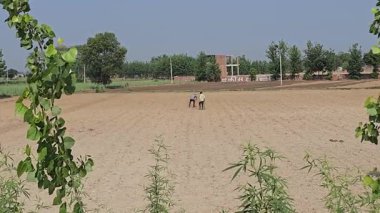 Çiftçi tarımda çok çalışıyor. Yüksek kalite 8K görüntü