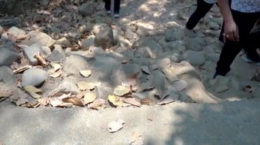 Vahşi ve engebeli bir yolda yolculuk. Yüksek kalite 4k görüntü