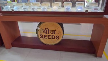 Tüm Kızılderili tohumları tek karede. Yüksek kalite 4k görüntü