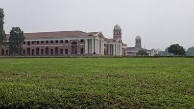 Doğa ve Bilginin Güzel Harmanı. Yüksek kalite 4k görüntü