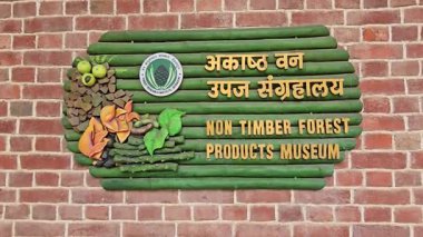 Ağaç tepsilerindeki güzel ağaç izleri. Yüksek kalite 4k görüntü