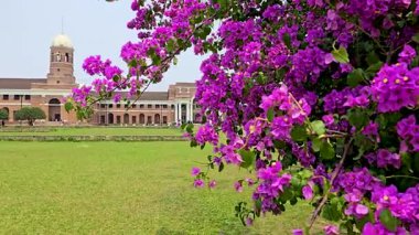 FRI Dehradun 'un manzarası. Yüksek kalite 4k görüntü