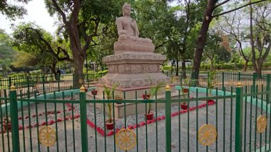 Buddha Parktaki Huzurlu Nöbet. Yüksek kalite 4k görüntü