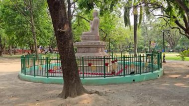 Buda 'nın Ebedi Güzelliği. Yüksek kalite 4k görüntü