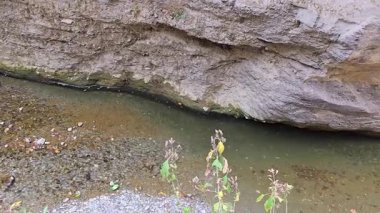 Himalaya Nehri 'nin Yolculuğu. Yüksek kalite 4k görüntü