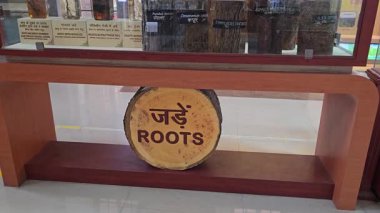 Hindistan 'ın Derin Kökleri' ni keşfediyorum. Yüksek kalite 4k görüntü