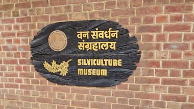 FRI Dehradun 'daki müze kurulunu araştırıyorum. Yüksek kalite 4k görüntü