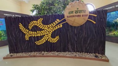 FRI Kampüsü 'nün içindeki Güzel Ağaç Heykelleri' ni keşfediyorum. Yüksek kalite 4k görüntü