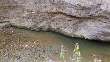 Himalaya Nehri 'nin Yolculuğu. Yüksek kalite 4k görüntü