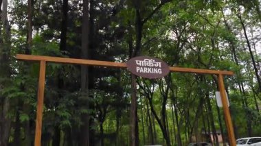 Doğayla uyum içinde park etmek. Yüksek kalite 4k görüntü