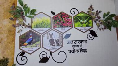 Uttarakhand 'ın gerçek işareti. Yüksek kalite 4k görüntü