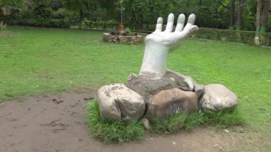 Doğaya uzanan el. Yüksek kalite 4k görüntü