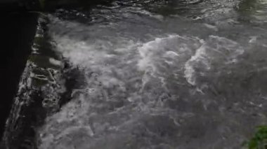 Doğa Sonsuz Akış. Yüksek kalite 4k görüntü