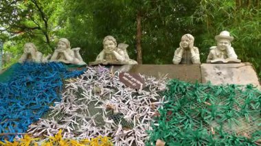  Taşın İçindeki Küçük Alim. Yüksek kalite 4k görüntü