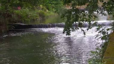 Doğa Sonsuz Akış. Yüksek kalite 4k görüntü