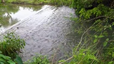 Doğa Sonsuz Akış. Yüksek kalite 4k görüntü