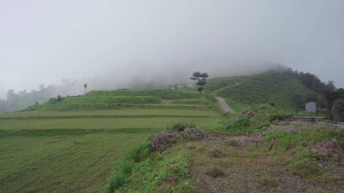 Himalaya tepelerinden gökyüzü izliyor