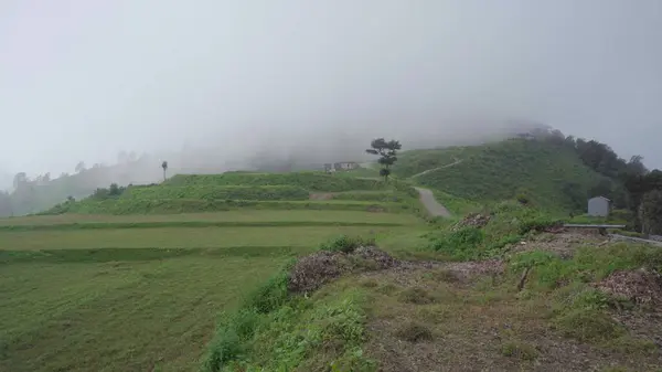 Himalaya tepelerinden gökyüzü izliyor