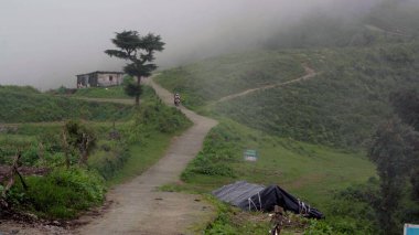 Himalayalarda Barışa Giden Yol