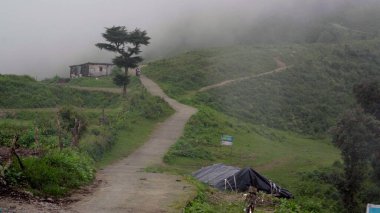 Himalaya Dağlarının Serene Patikaları