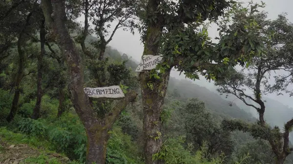 Macera Geçidi, Dağ Kurulu bekliyor. Yüksek kalite fotoğraf