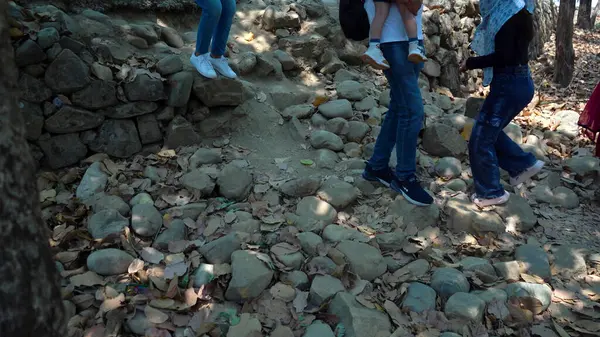 Zorlu Taş Yolu 'nun Güzelliği ve Mücadelesi. Yüksek Kalite Resim