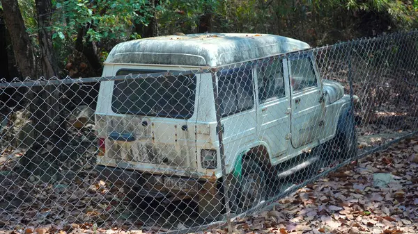 On yıllardır Ormanda Bırakılmış Bir Araba. Yüksek Kalite Resim