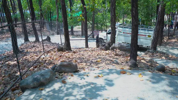 Doğadaki Araba Macerası. Yüksek Kalite Resim