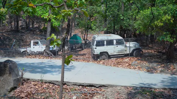 Vahşi doğaya eski bir araba yolculuğu. Yüksek kaliteli görüntüler