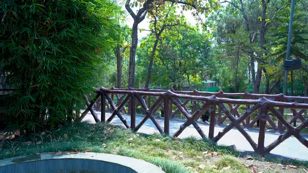 Parktaki Yaprakların Doğal Çöküşü. Yüksek Kalite Resim