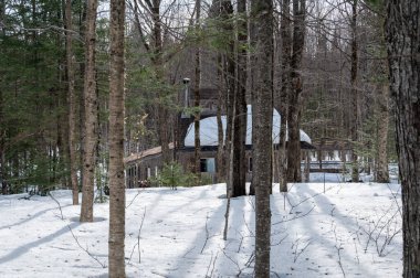 Huzurlu bir kış ormanının kalbine yerleşmiş bir kır evi, akçaağaç şekerli su koleksiyonu için hazırlanıyor..