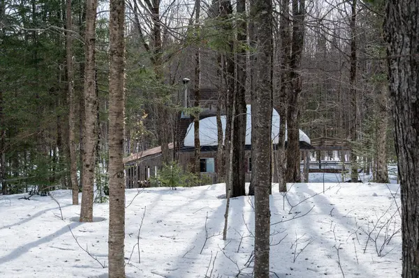 Huzurlu bir kış ormanının kalbine yerleşmiş bir kır evi, akçaağaç şekerli su koleksiyonu için hazırlanıyor..