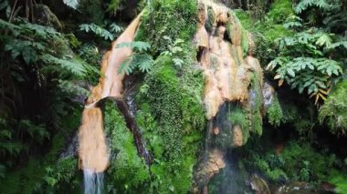 Azorlar 'ın büyüleyici güzelliğini keşfedin. Bu büyüleyici görüntüde, yemyeşil bir ormana yerleşmiş pitoresk bir şelale var..