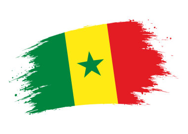 Senegal bayrağı. Senegal illüstrasyonunun yalıtılmış grunge fırça darbesi bayrağı şeffaf png